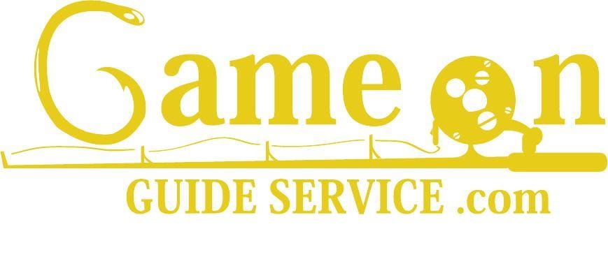 gameon_logo